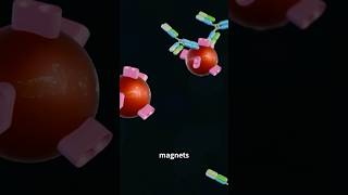 Revolutionize Diagnostics Magnetic Particles for High Sensitivity CLIA nanotechnology diagnostics [upl. by Eleonora]