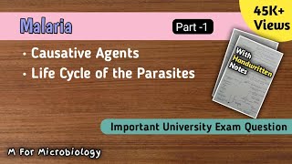 Malaria  Part 1 Causative agents of malaria  Life cycle of parasite in human [upl. by Nassah]