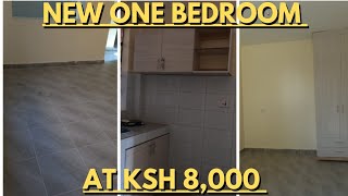 CHEAPEST And FANCY One BEDROOM In Rongai [upl. by Nomi]