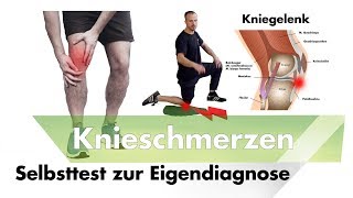 Knieschmerzen unter der Kniescheibe  Patellaspitzensyndrom Selbsttest  jumpers knee [upl. by Yasu447]