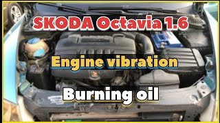 SKODA OCTAVIA 16 Engine vibration Burning oil صيانة المحرك بسبب نقص الدهن و اهتزاز المحرك music [upl. by Fasano]