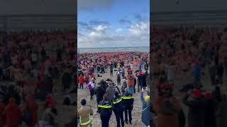 Video Nieuwjaarsduik 2024 [upl. by Richy]