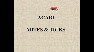 Tick and Mites  Comprehensive Details [upl. by Harper321]