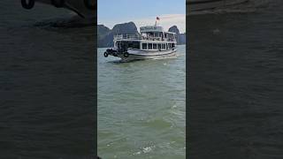 HALONG BAY cruisin [upl. by Sorel749]