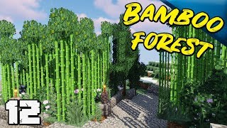 BUILDING A CUSTOM BAMBOO FOREST  MINECRAFT 113 Decidedly Vanilla [upl. by Eniotna807]