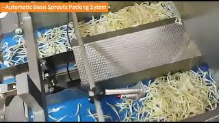 Automatic Bean Sprouts Packing SytemFocus Machienry [upl. by Bernt994]