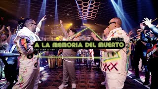 A La Memoria Del Muerto Cali Flow Latino Fruko  Video Oficial [upl. by Wilburt]