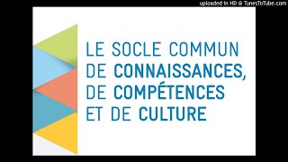 CSE 51  Socle commun  les 5 domaines [upl. by Nissie]