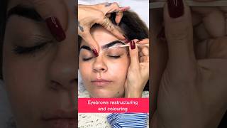 Eyebrows restructuring and colouring 26 juliedesigner eyebrow youtubeshorts ytshortsuk [upl. by Nowaj]