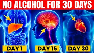 What Does 30 Days No ALCOHOL Do [upl. by Eniarol294]