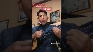 TUTORIAL CHARANGOCHARANGUITOSAVIA ANDINA [upl. by Velvet15]