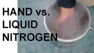 Hand vs Liquid Nitrogen and the Leidenfrost Effect [upl. by Eirehc]