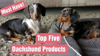 FIVE Things You Should Have Before Bringing Your DACHSHUND PUPPY Home [upl. by Aneehsyt]