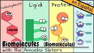 Biomoléculas [upl. by Yve]