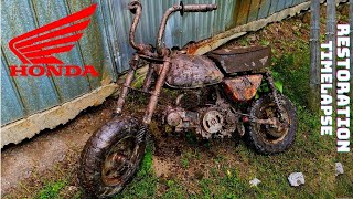 Full restoration abandonned motorcycle honda Z50 50cc 4 stroke Timelapse Monkey bike  Final Part [upl. by Loriner]