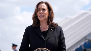 Joe Hockey analyses the two issues Kamala Harris faces in Pennsylvania [upl. by Rosaline617]