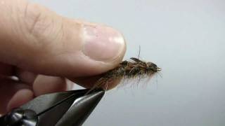 Fly Tying Squirrel Stonefly Nymph [upl. by Piper]