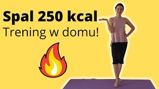 Ciche cardio bez skakania Dla początkujących Minus 250 kcal [upl. by Nuahsyt]