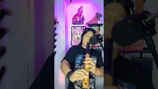 Wakan Tanka cover nativeamericanflute flute music nativemusic duet [upl. by Dajma]