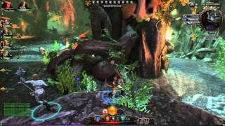 Neverwinter  Dungeon  The Cloak Tower  17 level Trickster Thief [upl. by Mera]