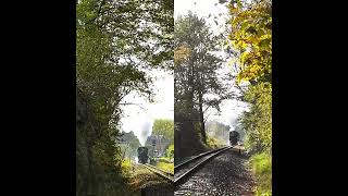 Lößnitzgrundbahn  Tradition mit Volldampf zum Fisch und Waldfest [upl. by Zanahs]