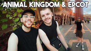 Animal Kingdom amp EPCOT Vlog  WDW 24  Satuli Canteen Feathered Friends In Flight Via Napoli [upl. by Jenei966]