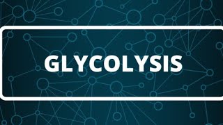 Biochemistry  Glycolysis part 1 كيمياء حيوية كيفية تحلل السكر [upl. by Jill]