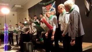 concert de la saint patrick par quot les gaillards davant quot1 [upl. by Gomer]