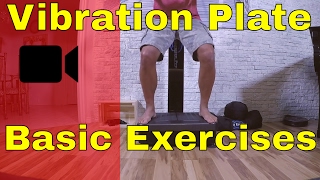 quotBASICquot Whole Body Vibration Machines LEG Workout  Vibration Plate Exercises [upl. by Latvina]