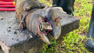 Ep57  Cleaning TV  Experts use stone to treat cows foot  THE CLEANING and CUTTUNG [upl. by Eahcim]