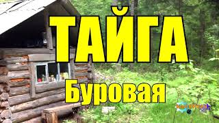 ТАЙГА  БУРОВАЯ УСТАНОВКА В ТАЙГЕ  ДОБЫЧА [upl. by Eatnahc]