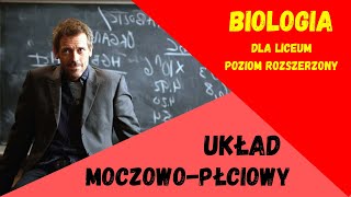 Układ moczowopłciowy Biologia rozszerzona do matury matura [upl. by Lorin]