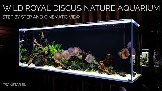 Wild ROYAL Discus Nature Aquarium of 200x60x70cm at Twinstar EU [upl. by Saidnac]