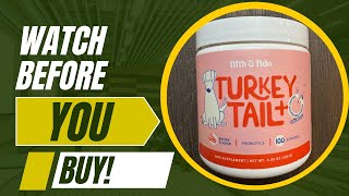 Review of Turkey Tail Mushroom for Dogs [upl. by Lauter]