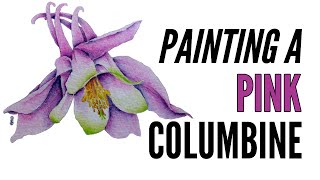 How To Paint A Columbine Flower With Inktense In Pink [upl. by Darooge]