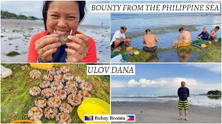 Šta pronaći tokom oseke u filipinskom moru  What to find during low tide in the Philippine sea [upl. by Lagas]