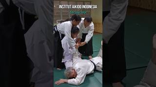 合気道  Institut Aikido Indonesia  Energy Dojo  Gyakuhanmi Katatedori Sankyo [upl. by Eirased]