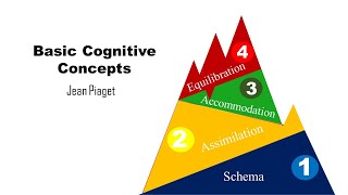 Basic Cognitive Concepts Schema Assimilation Accommodation Equilibration [upl. by Dweck415]