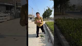 Wait 🫷 funny 🤣 video music shorts song pop [upl. by Cohlette]