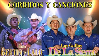 Dueto Bertin Y Lalo VS Los Gallos De La Sierra  Mix Puros Corridos y Rancheras  Puras Buenas [upl. by Borries]