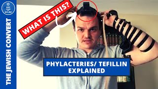 Everything You Need to Know About Tefillin  Biblical Phylacteries [upl. by Frisse66]