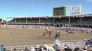 Calgary Stampede Wild Card [upl. by Arah]