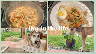 Days in the life  Hiking cooking Thai basil with pork Pad Kra Pao and planting  ผัดกระเพราหมู [upl. by Alameda]