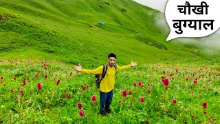 यहाँ है चरवाहों की एक अलग ज़िंदगी  Bugyal Lifestyle Vlog Uttarakhand  Anoop Semwal [upl. by Lindsley]