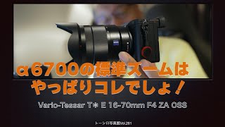 【α6000系標準ズームの決定版！】10年前のとは思えない。VarioTessar T E 1670mm F4 ZA OSS。 [upl. by Ecirtac]