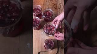 La confiture de cerises c’est délicieux pour le petitdéjeuner [upl. by Nnylarej438]