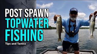 Post Spawn Topwater Fishing lakelanierfishing2024 bassfishing [upl. by Ynohtnaleahcim]