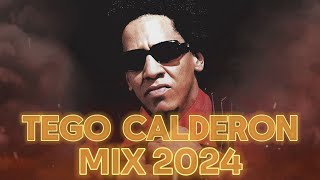 TEGO CALDERON MIX 2024  REGGAETON VIEJO MIX  REGGAETON CLASICO MIX 2024 [upl. by Grannia]