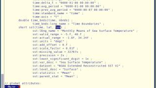 netcdf what is [upl. by Dwane]