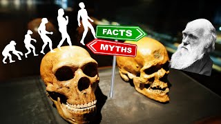 Revealing the Truth Debunking Myths amp Misconceptions About Human Evolution [upl. by Egas]